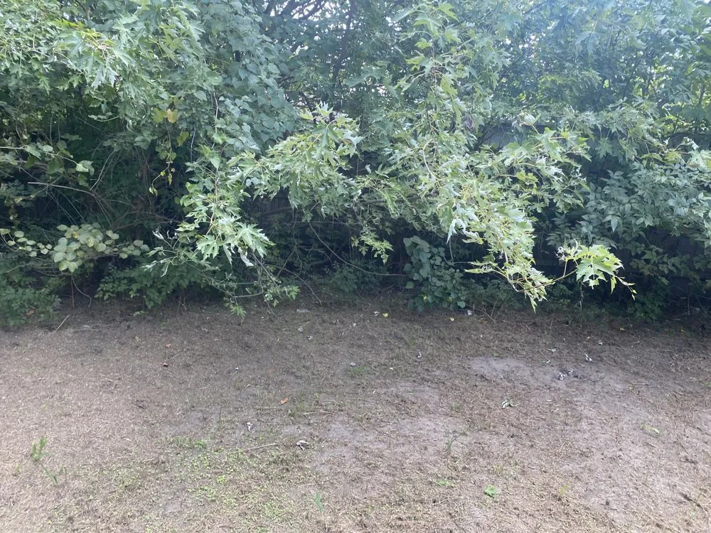 Affordable yard maintenance for year-round maintenance in Owasso, OK by Lawn Tamers