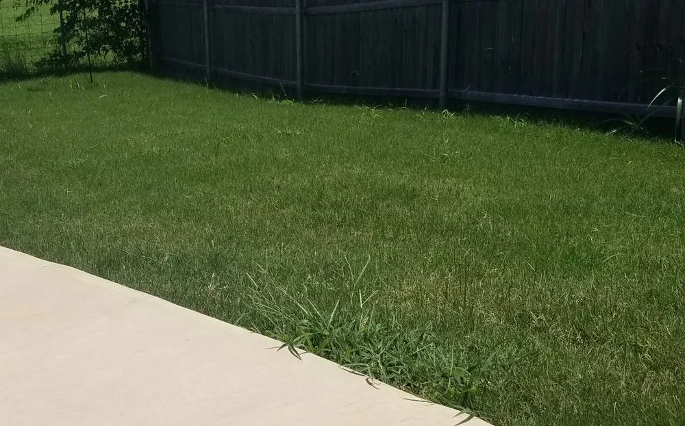 Expert lawn mowing service experts serving Cleburne, TX - Lawn Tech