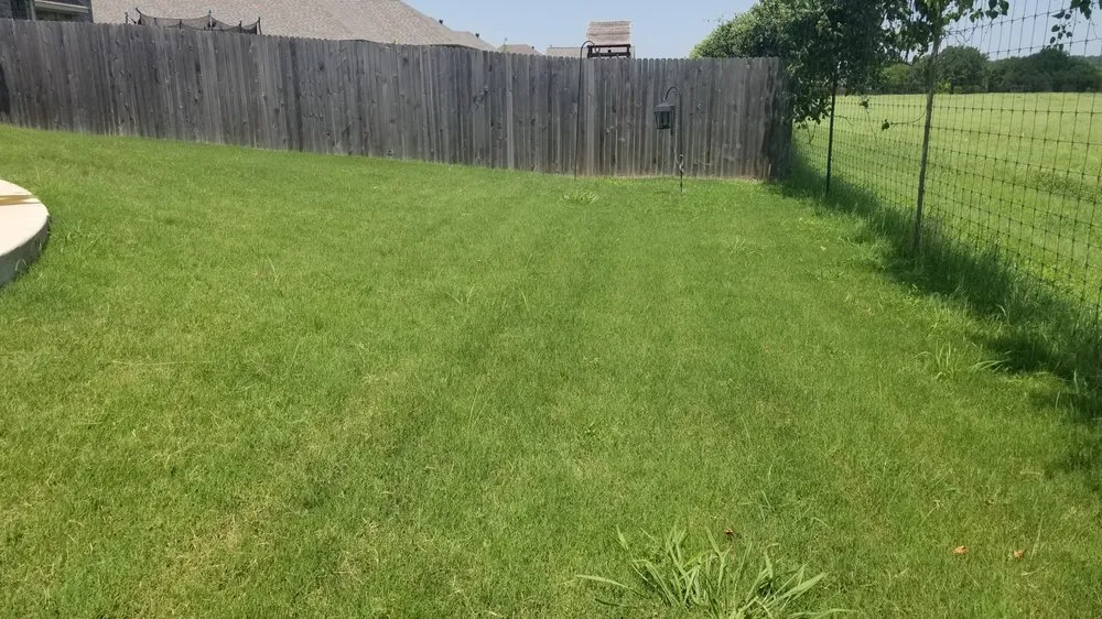 Professional residential landscaping for year-round maintenance across Cleburne, TX - Lawn Tech
