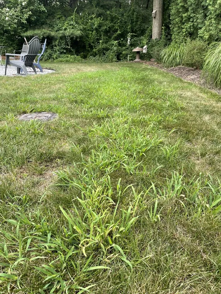 Custom lawn mowing service in Springfield, MA by Lawn Tech Lawn Care