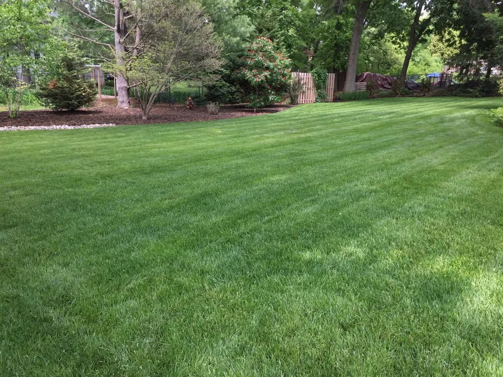 Expert yard maintenance with custom design in Milford, NJ by Lawn Tech