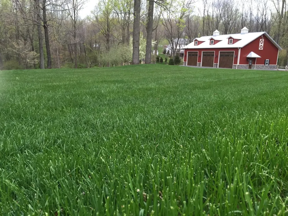 Top-rated lawn care service in Milford, NJ - Lawn Tech