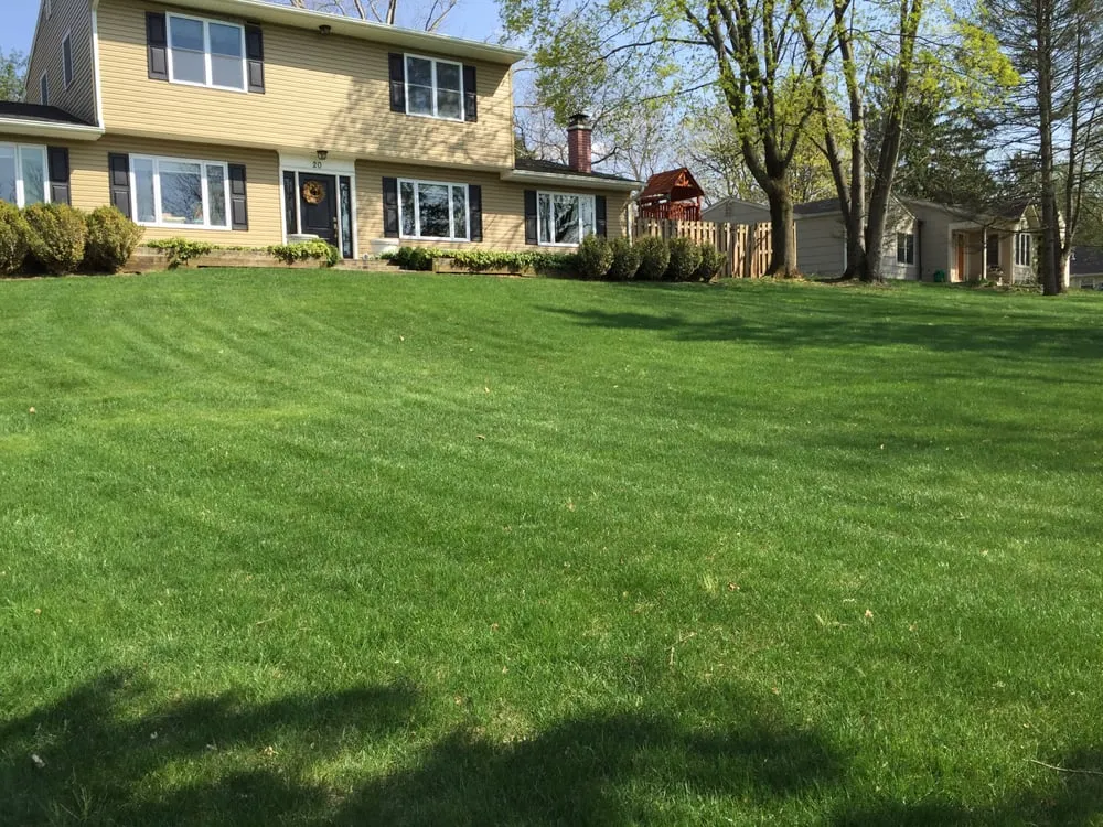 Affordable landscape installation in Milford, NJ by Lawn Tech