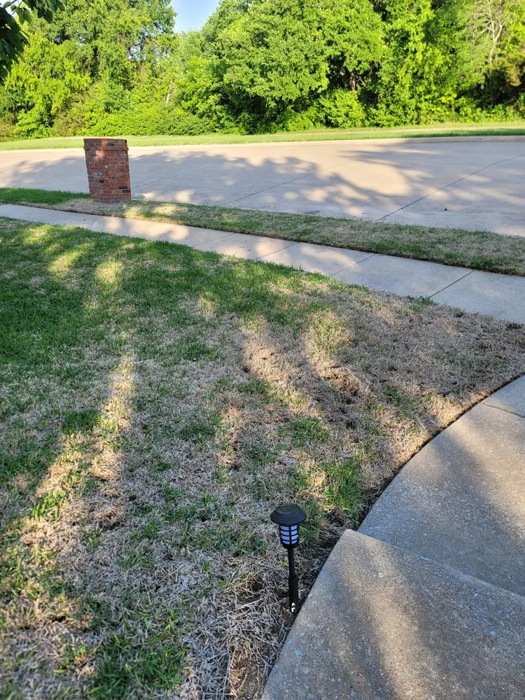 Affordable landscaping services in Plano, TX by Lawn Tech