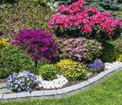 Professional landscape installation in Plano, TX - Lawn Tech