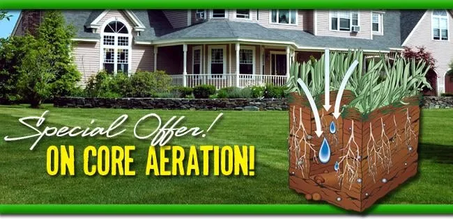 Local yard maintenance in Plano, TX by Lawn Tech