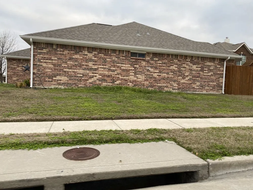 Expert yard maintenance experts serving Plano, TX - Lawn Tech