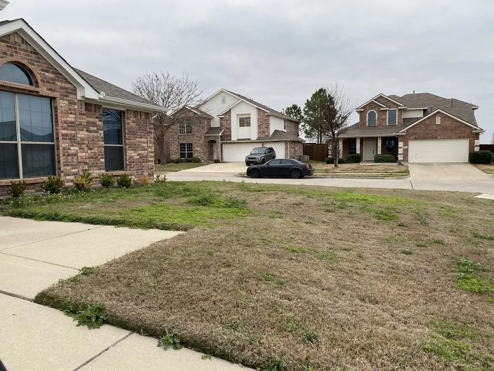 Trusted landscape design with custom design across Plano, TX - Lawn Tech