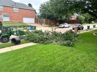 Affordable landscape installation near you in Plano, TX by Lawn Tech