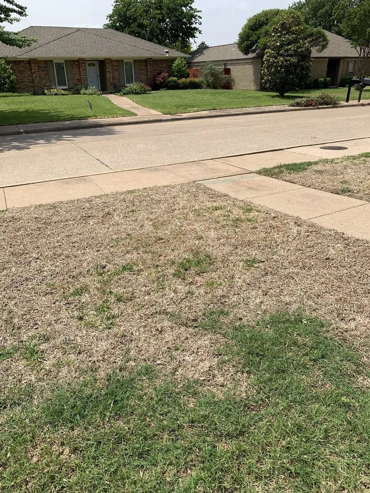 Expert yard cleanup service for year-round maintenance across Plano, TX - Lawn Tech