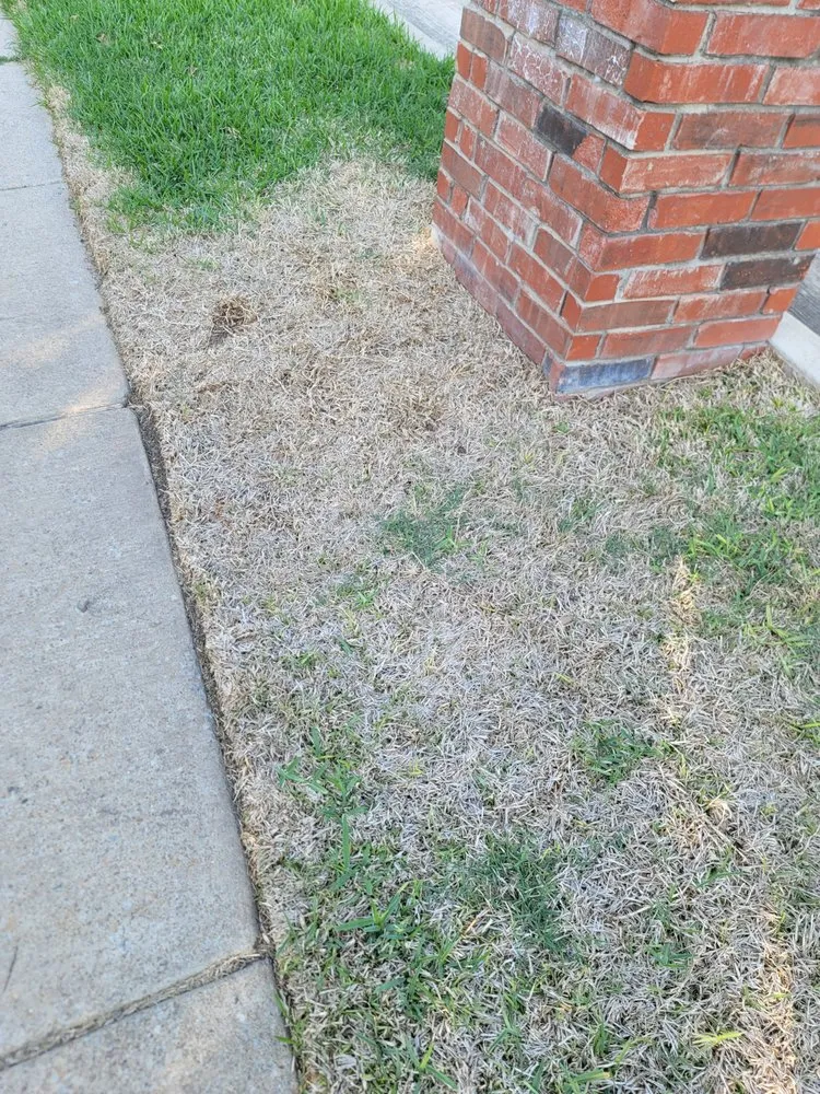 Affordable residential landscaping for year-round maintenance in Plano, TX by Lawn Tech