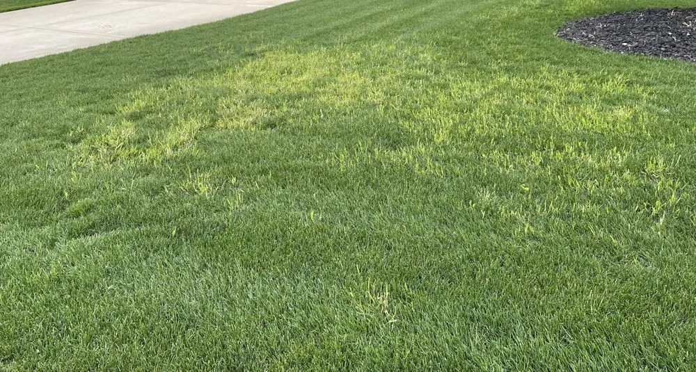 Local landscape installation experts serving Tinley Park, IL - Lawn-Tech