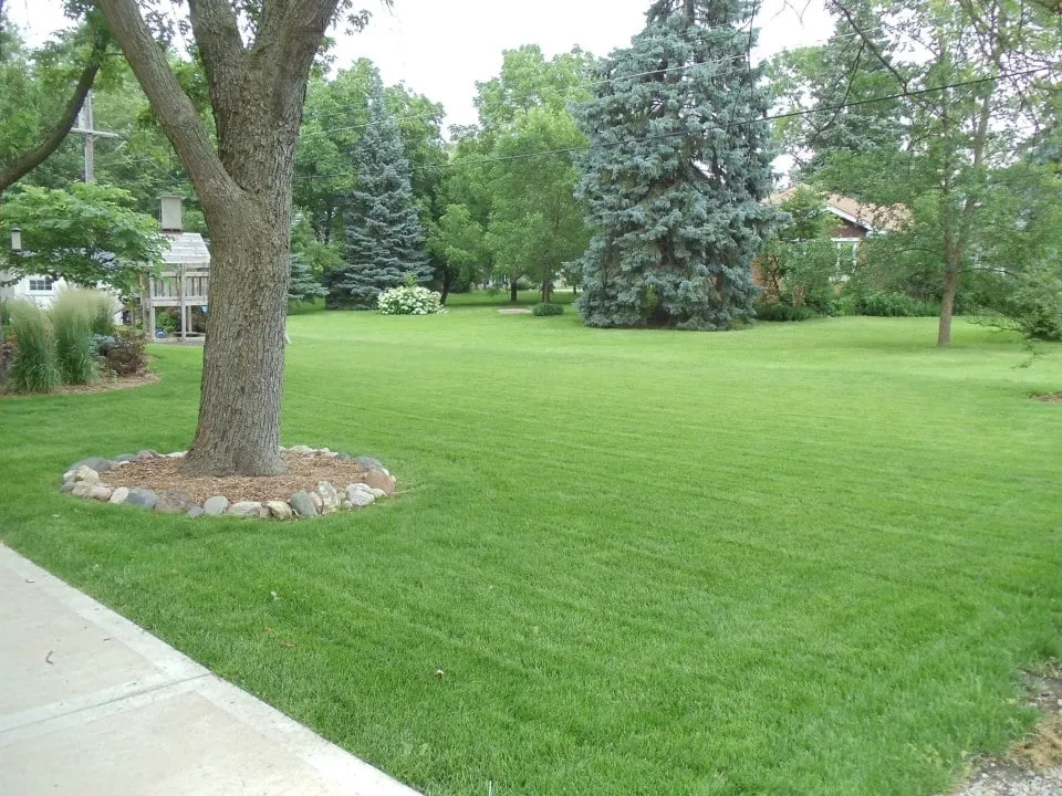 Top-rated landscape design experts serving Tinley Park, IL - Lawn-Tech