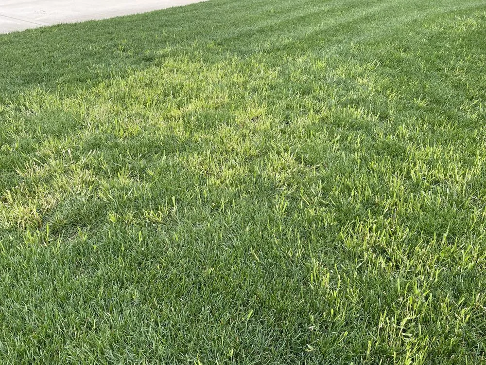 Reliable landscaping services with custom design in Tinley Park, IL by Lawn-Tech