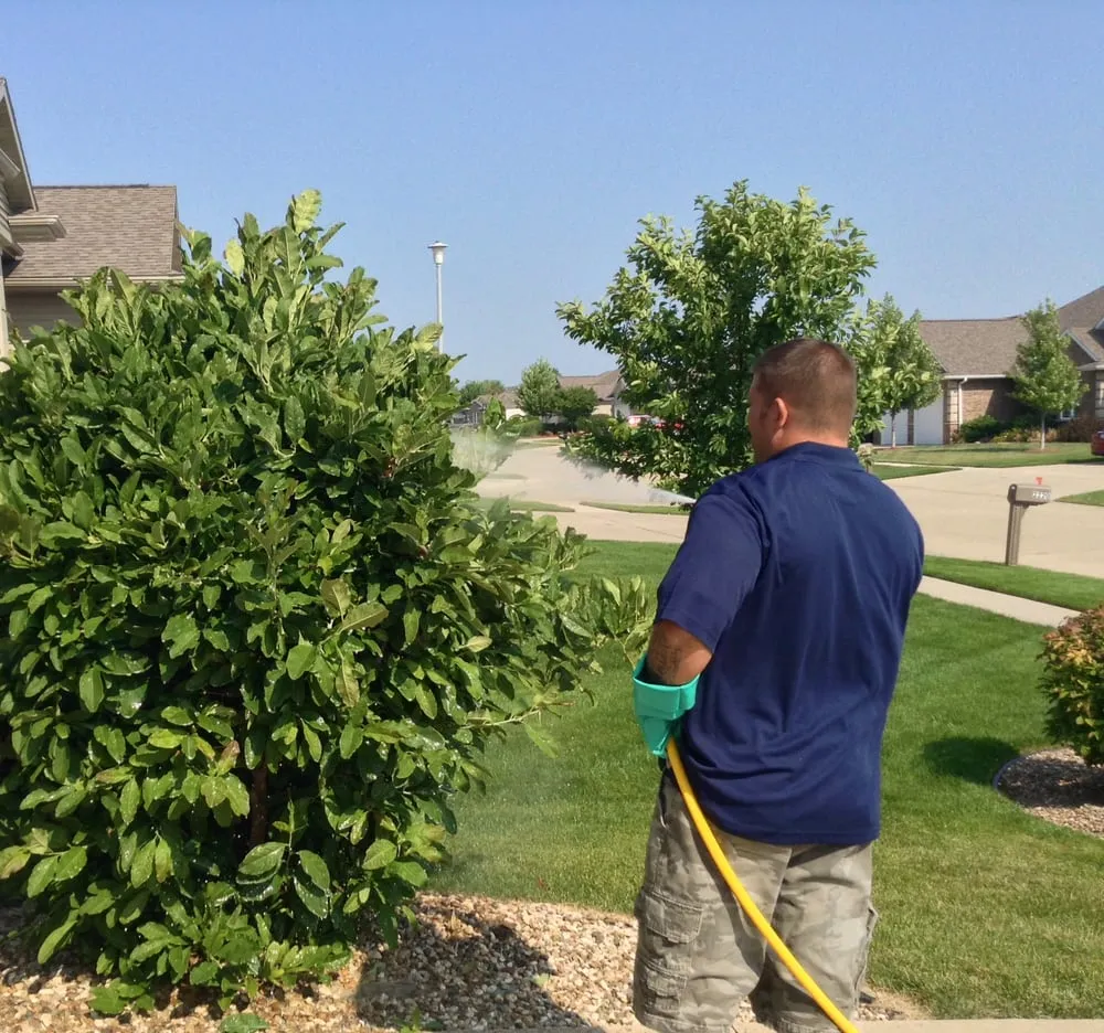 Professional outdoor landscaping for year-round maintenance across Marion, IA - Lawn-Tek