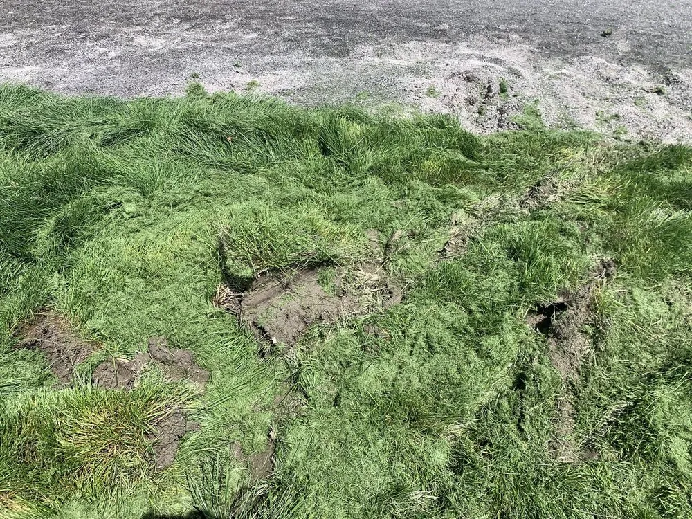 Trusted landscape installation for homes across American Fork, UT - Lawn Thumbs