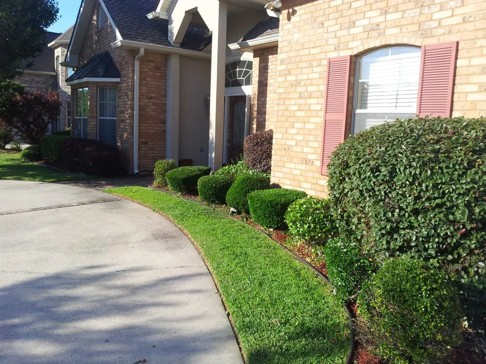 Trusted yard maintenance near you in New Orleans, LA by Lawn Tigers