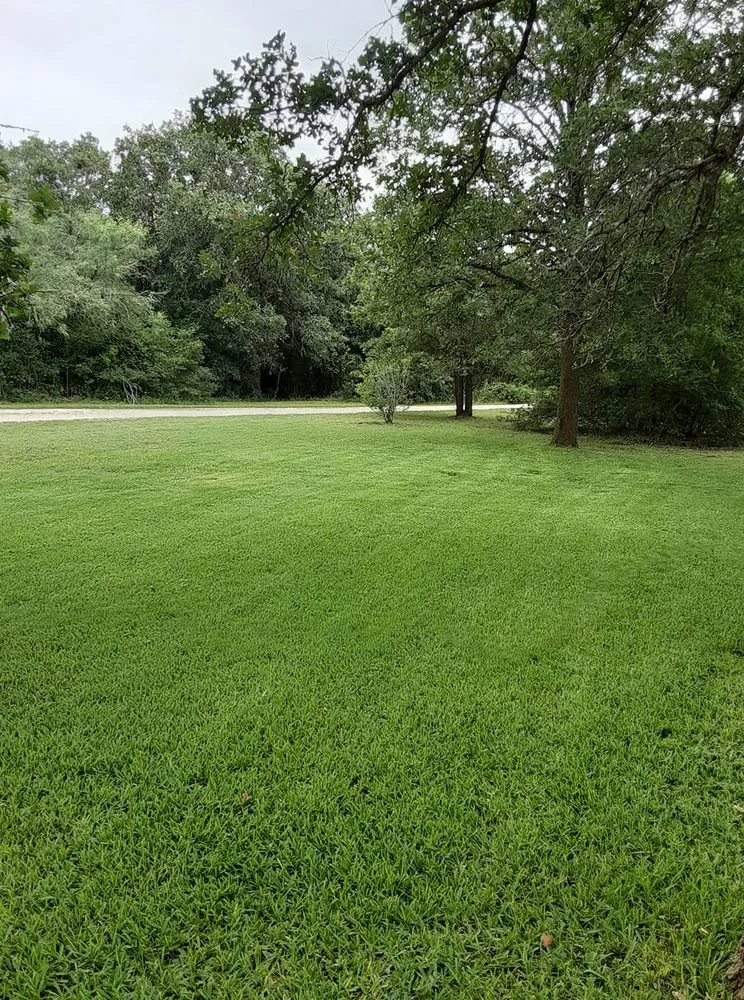 Professional yard cleanup service experts serving Austin, TX - Lawn Tom Services
