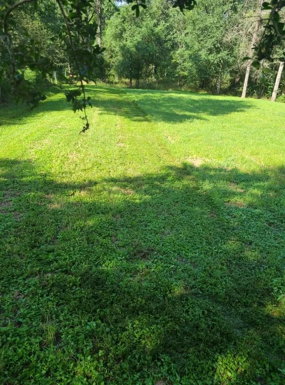 Custom outdoor landscaping in Austin, TX by Lawn Tom Services