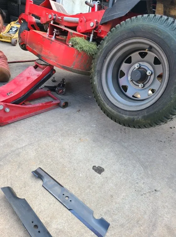 Top-rated landscaping services for year-round maintenance across Austin, TX - Lawn Tom Services