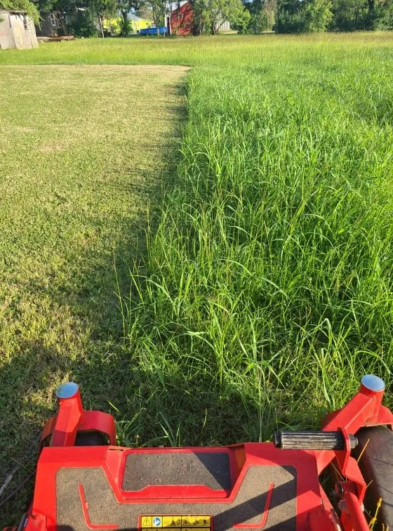 Trusted garden landscaping in Austin, TX - Lawn Tom Services