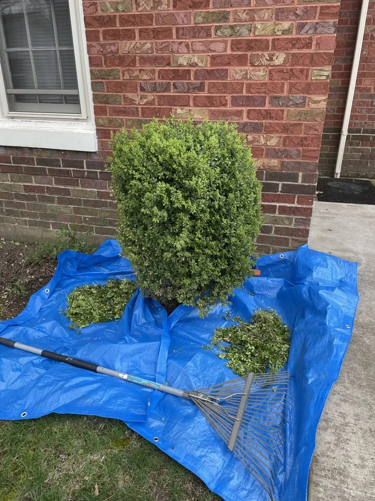 Professional yard cleanup service in Shelbyville, IL by Lawn-Trepreneurs