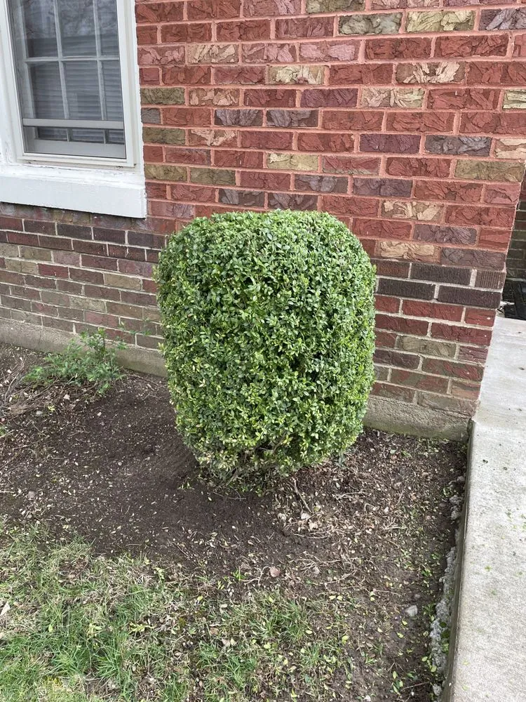 Top-rated lawn care service for homes in Shelbyville, IL by Lawn-Trepreneurs