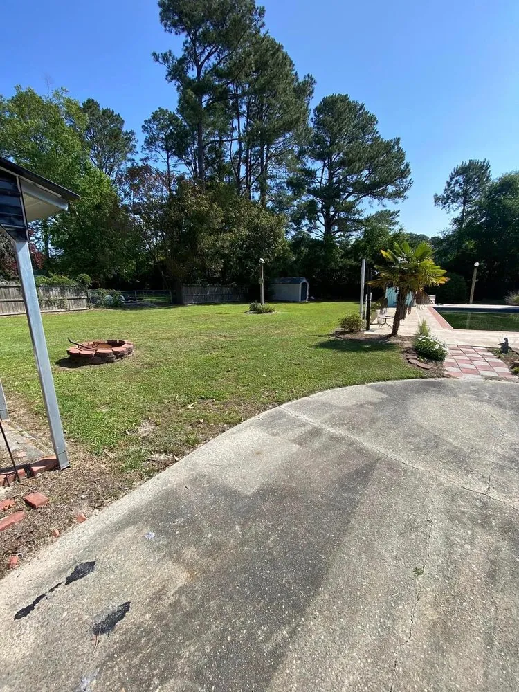 Local yard cleanup service in New Bern, NC - Lawn Trimmers