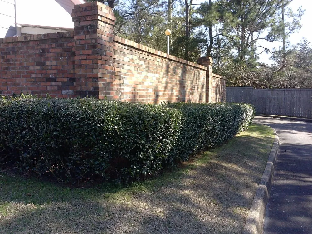 Trusted lawn care service experts serving Mobile, AL - Lawn Trouper, Inc.