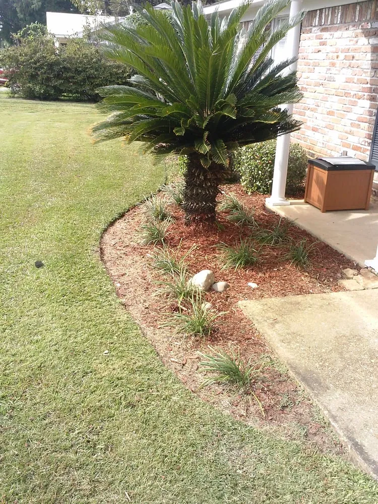 Affordable landscaping services for beautiful yards in Mobile, AL by Lawn Trouper, Inc.