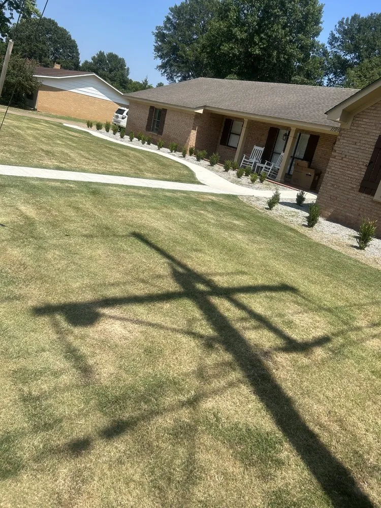 Expert landscaping services for residential properties across Grenada, MS - Lawn Vet