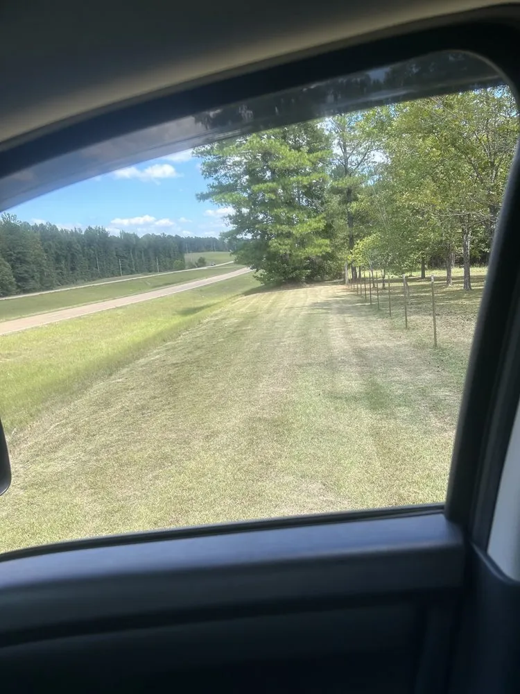 Custom yard cleanup service for outdoor upgrades in Grenada, MS by Lawn Vet