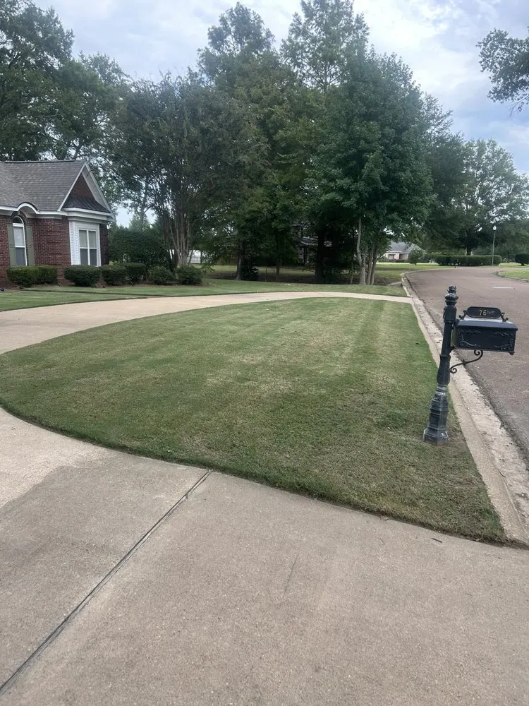 Top-rated landscaping services in Grenada, MS - Lawn Vet