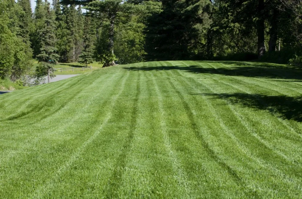 Custom lawn mowing service for homes in Davey, NE by Lawn Vets