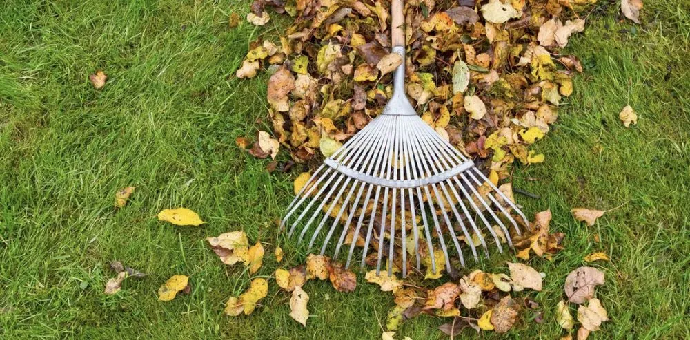 Trusted lawn care service in Davey, NE by Lawn Vets
