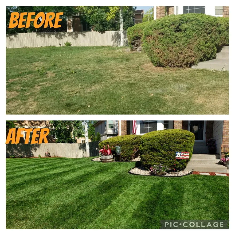 Top-rated yard maintenance in Parker, CO - Lawn Vibes