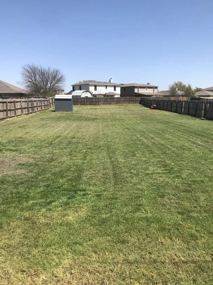 Local yard cleanup service with custom design across Killeen, TX - Lawn Vision Care