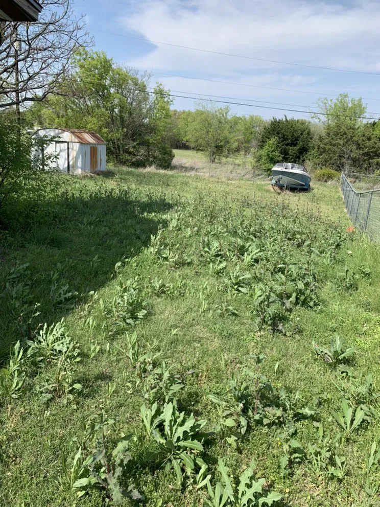 Professional yard cleanup service in Killeen, TX by Lawn Vision Care