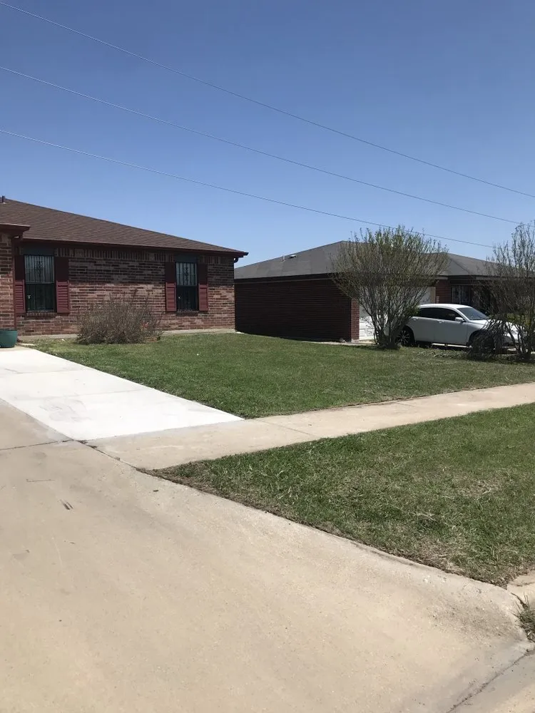 Expert yard cleanup service in Killeen, TX - Lawn Vision Care