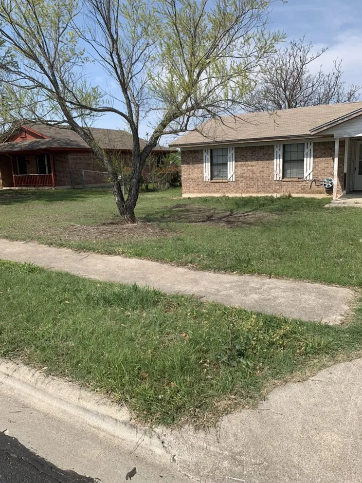 Expert yard maintenance experts serving Killeen, TX - Lawn Vision Care