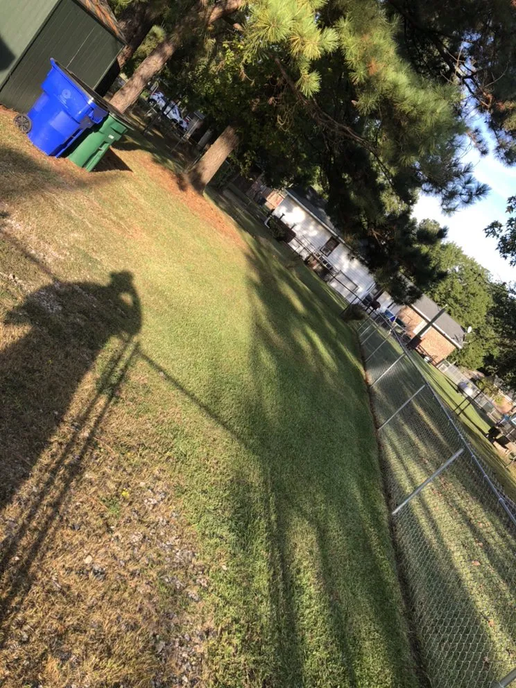 Affordable landscape installation experts serving Rocky Mount, NC - Lawn Vision Services