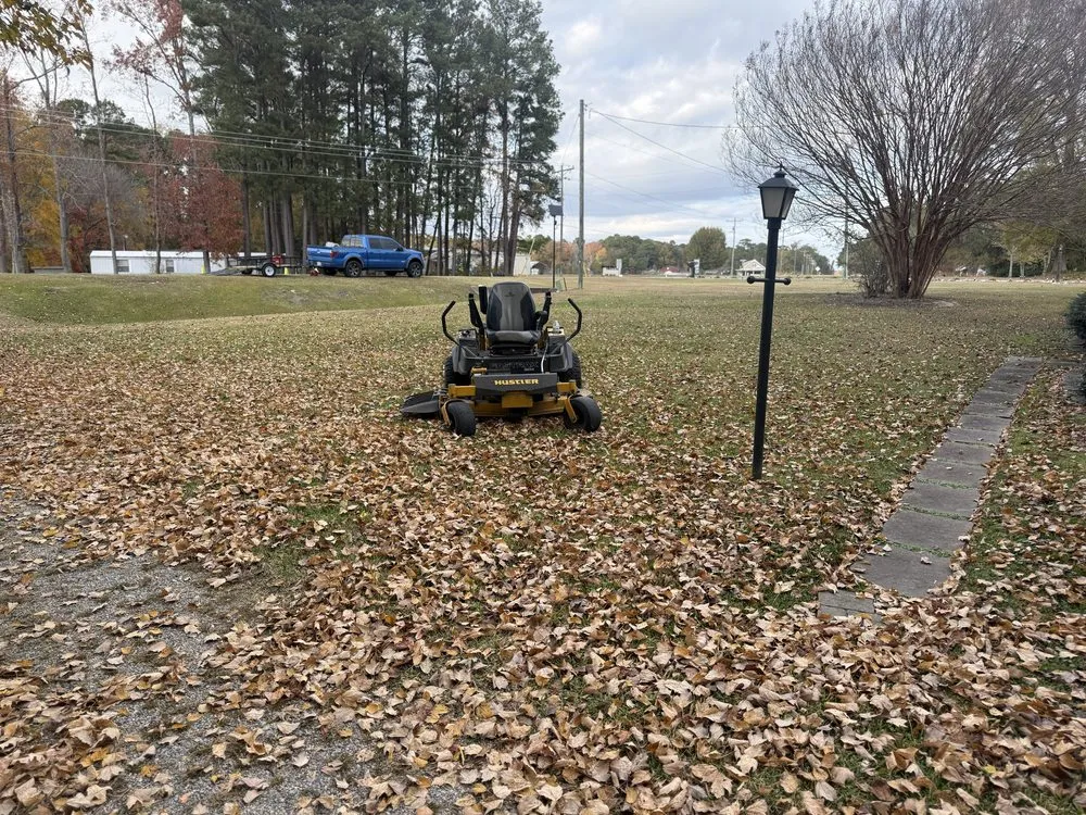 Trusted yard cleanup service in Rocky Mount, NC by Lawn Vision Services