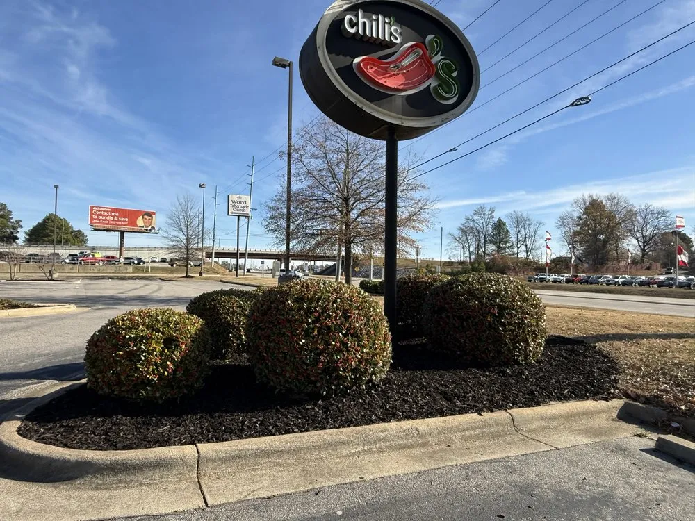 Affordable landscaping services for outdoor upgrades in Rocky Mount, NC by Lawn Vision Services