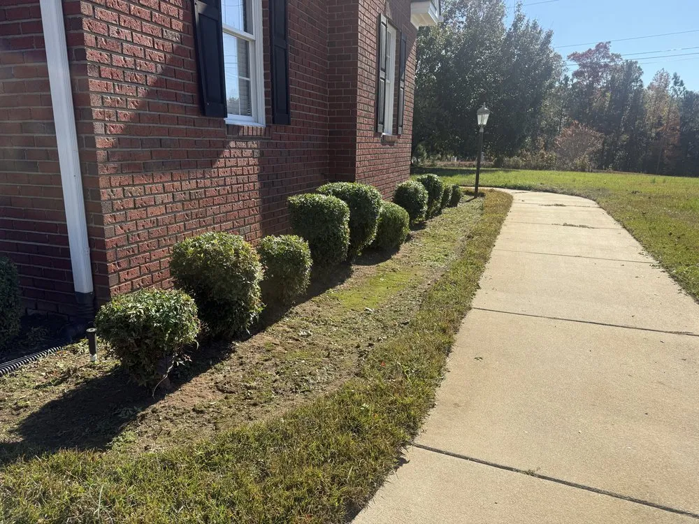 Top-rated residential landscaping experts serving Rocky Mount, NC - Lawn Vision Services