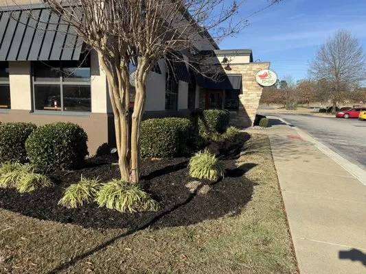 Lawn Vision Services