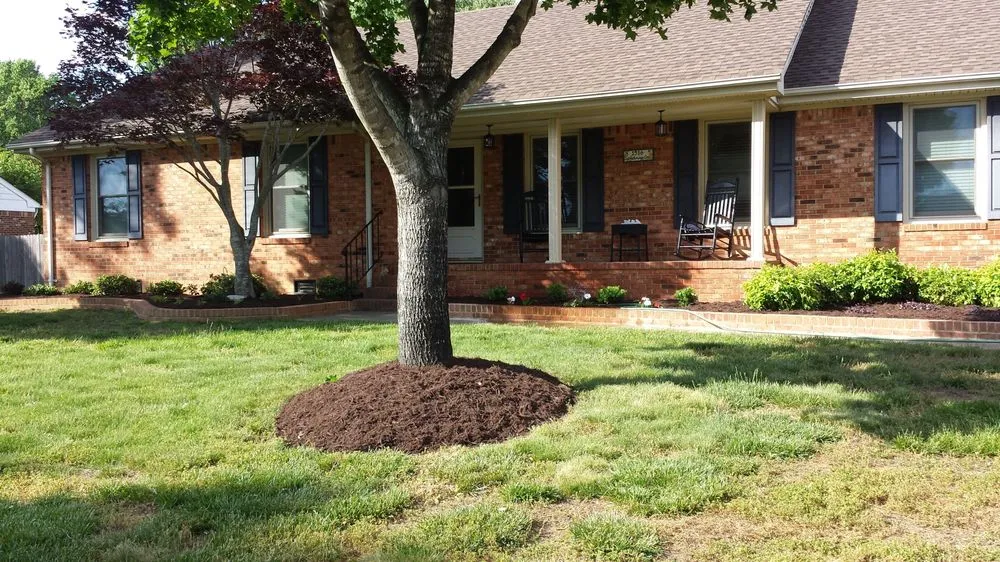 Trusted lawn care service in Virginia Beach, VA - Lawn Visions