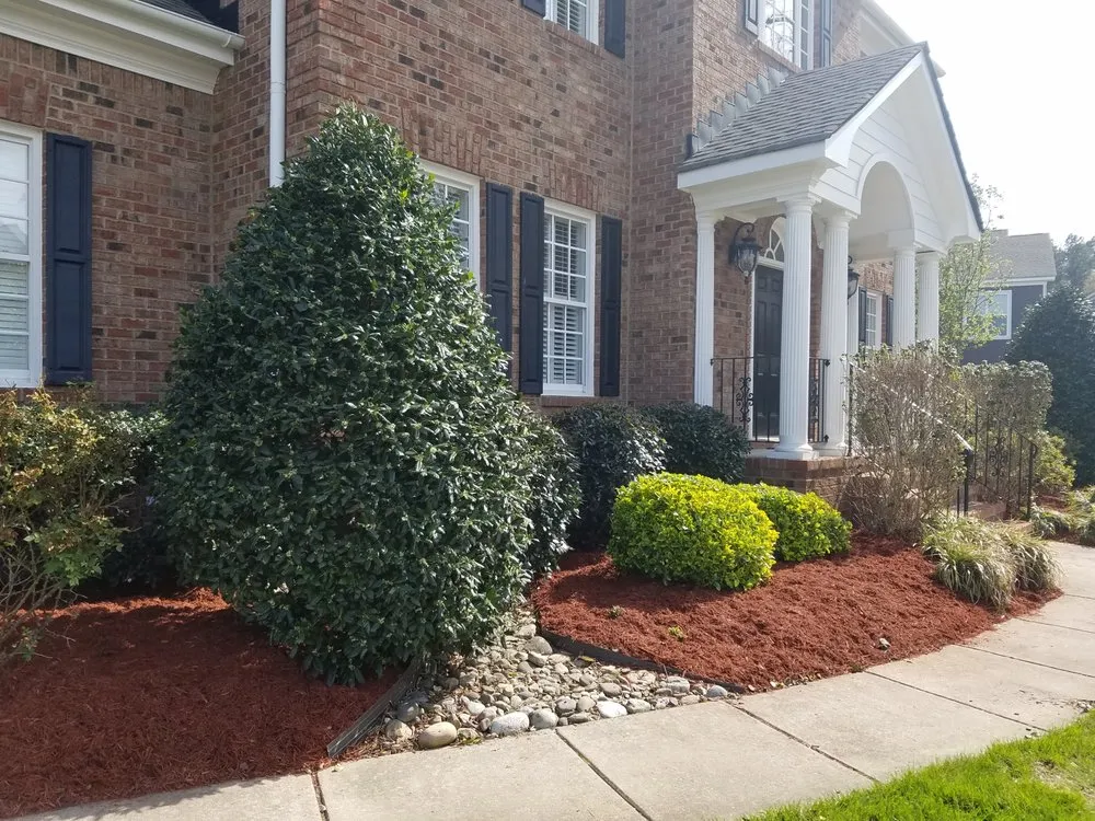 Local yard cleanup service in Virginia Beach, VA - Lawn Visions