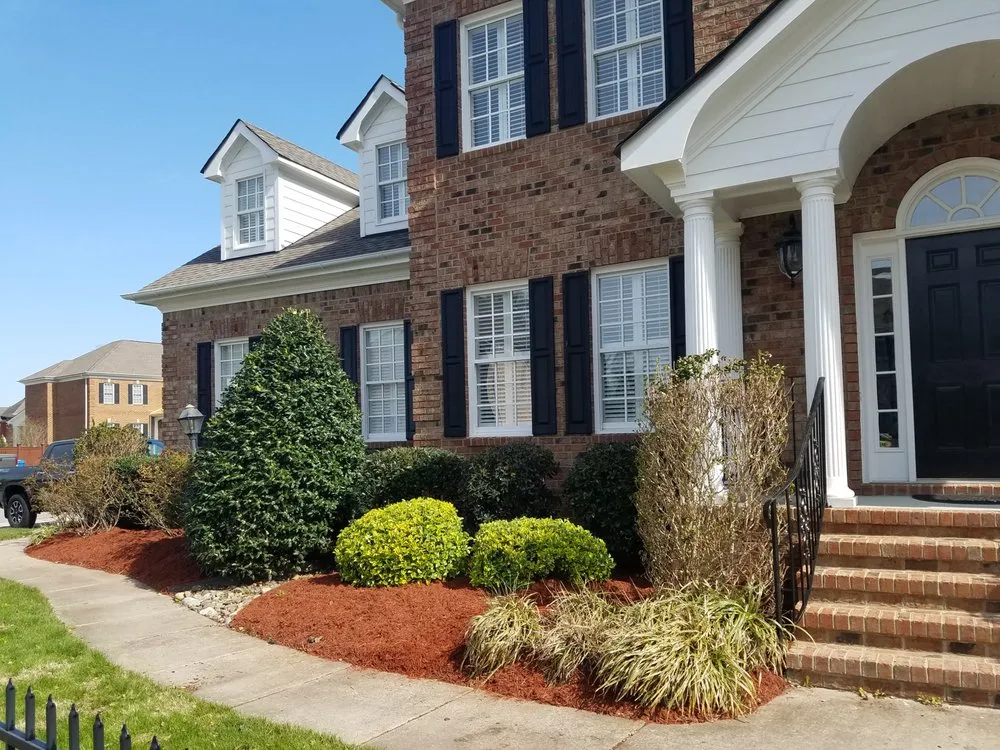 Top-rated yard cleanup service experts serving Virginia Beach, VA - Lawn Visions