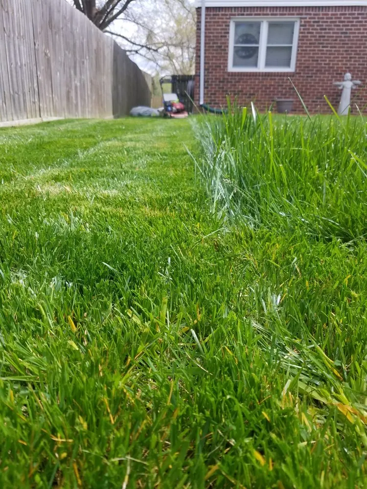 Top-rated garden landscaping for residential properties across Virginia Beach, VA - Lawn Visions