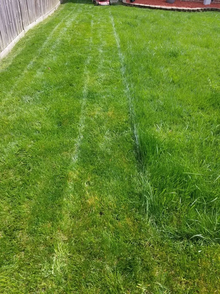 Reliable outdoor landscaping in Virginia Beach, VA by Lawn Visions